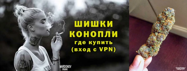 прущие грибы Наволоки