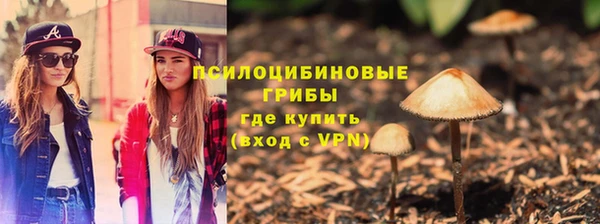 дурь Алзамай