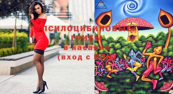 дурь Алзамай
